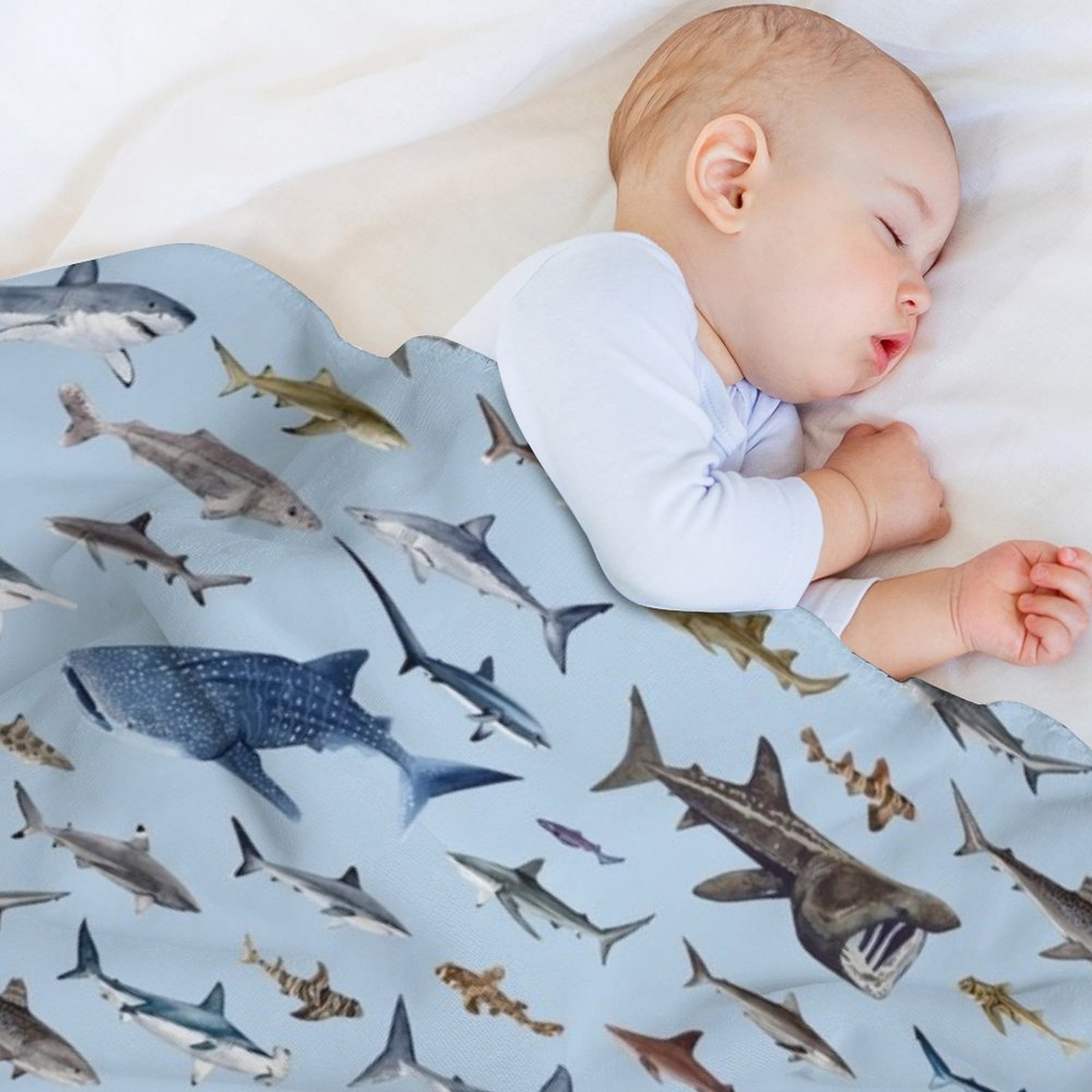 Selimut SHARKS warna biru muda - Lighting Decoration Ideas For Home ulasan dan harga